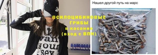 скорость Касимов