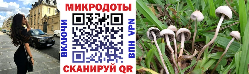 что такое наркотик  Кингисепп  Псилоцибиновые грибы Magic Shrooms 